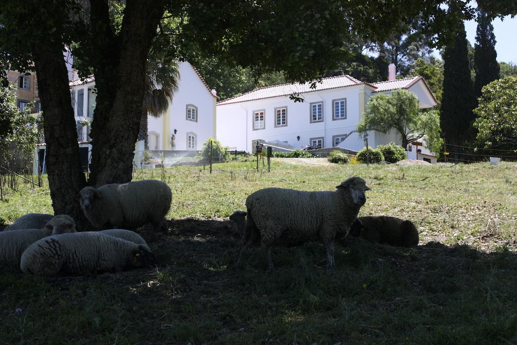 Eugaria Country House By Lost Lisbon Sintra Buitenkant foto