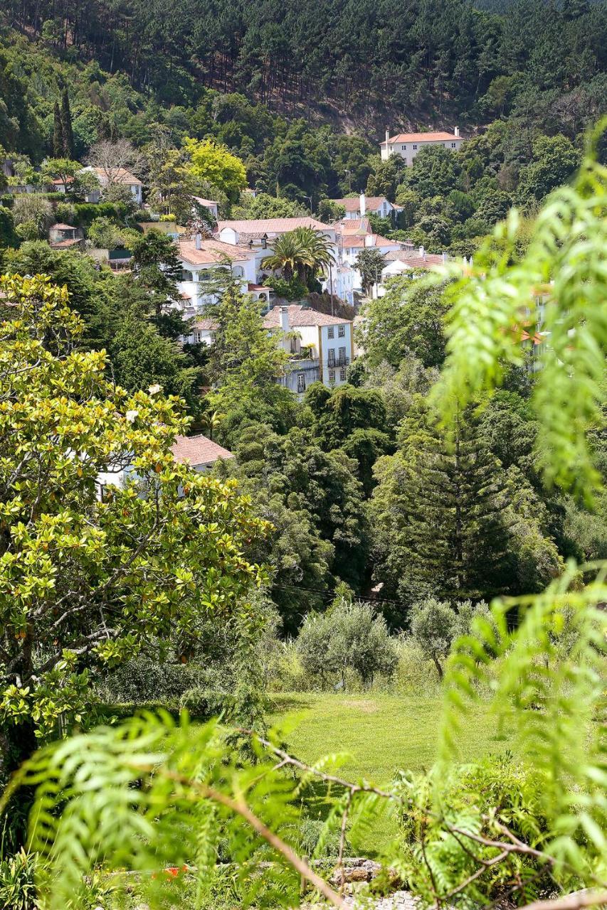 Eugaria Country House By Lost Lisbon Sintra Buitenkant foto